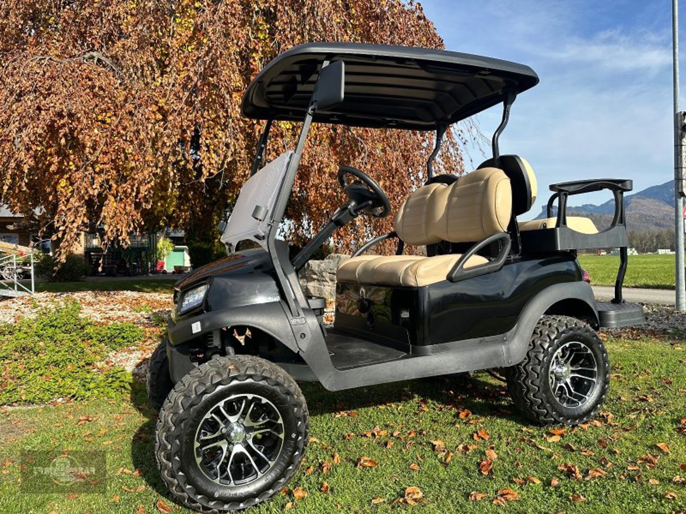 Club Car Tempo Lithium Akku Buggy Licht Exklusiv Club Car Tempo Lithium Akku Buggy Licht Exklusiv