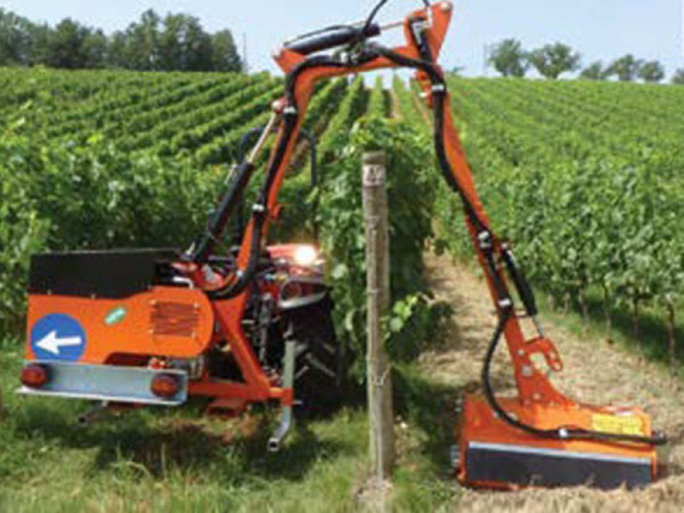 Rinieri BR-VIGNA PLUS Böschungsmulcher Rinieri BR-VIGNA PLUS Böschungsmulcher