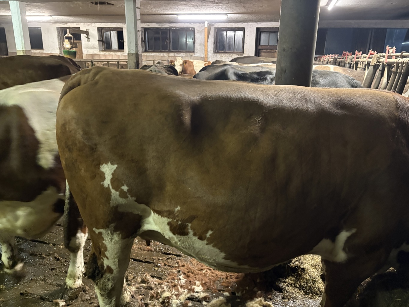 (AT 24 4161 374) (AT 24 4161 374)