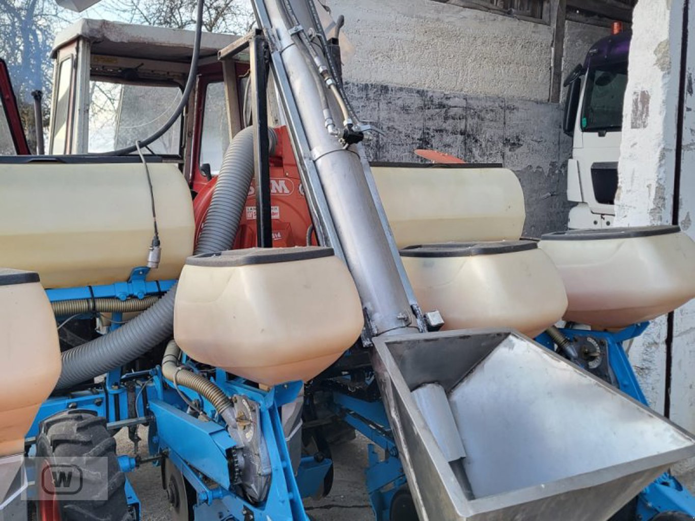 Sonstige Düngerschnecke Sonstige Düngerschnecke